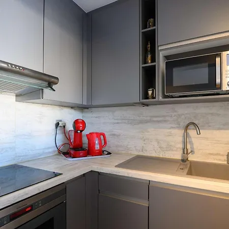 Marina Lumineuse Avec Terrasses Et Privee A Cap D'agde - Fr-1-387-181 * 阿格德