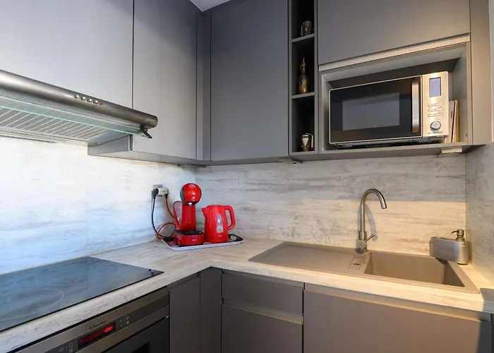 Marina Lumineuse Avec Terrasses Et Privee A Cap D'agde - Fr-1-387-181 * Agde